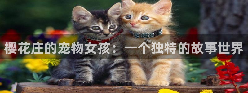 尾巴漫画背景图高清：樱花庄的宠物女孩：一个独特的故事世界